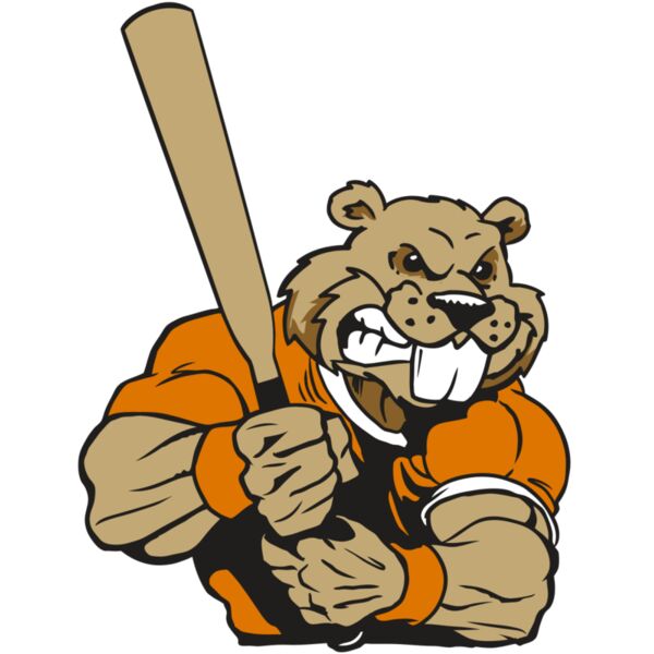 AR4 BEAVER 04 RQC Thumbnail