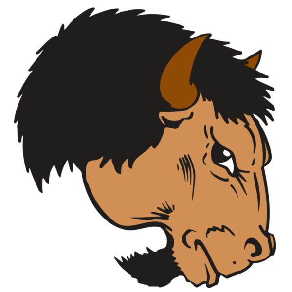 AR BUFFALO 16 RC Thumbnail