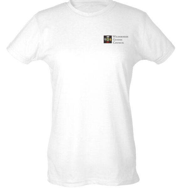 Full Color Logo - Ladies Slim Fit Poly-Rich Tee Thumbnail