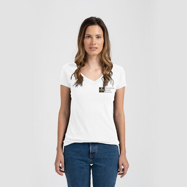 Full Color Logo - Ladies Slim Fit V Neck Poly-Rich Tee Thumbnail