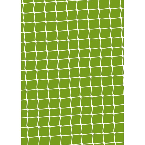 pff pp soccer A4 goalnet Thumbnail