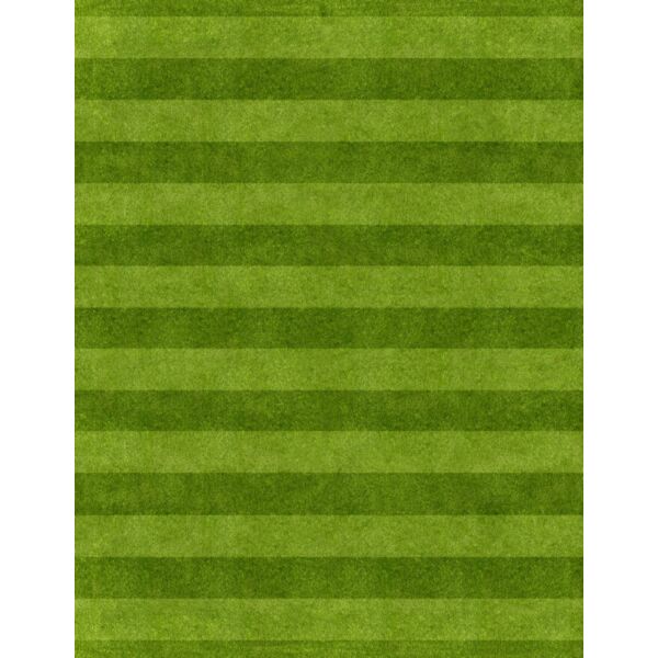 pff pp soccer L grassstripes Thumbnail