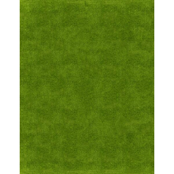 pff pp soccer L grass Thumbnail