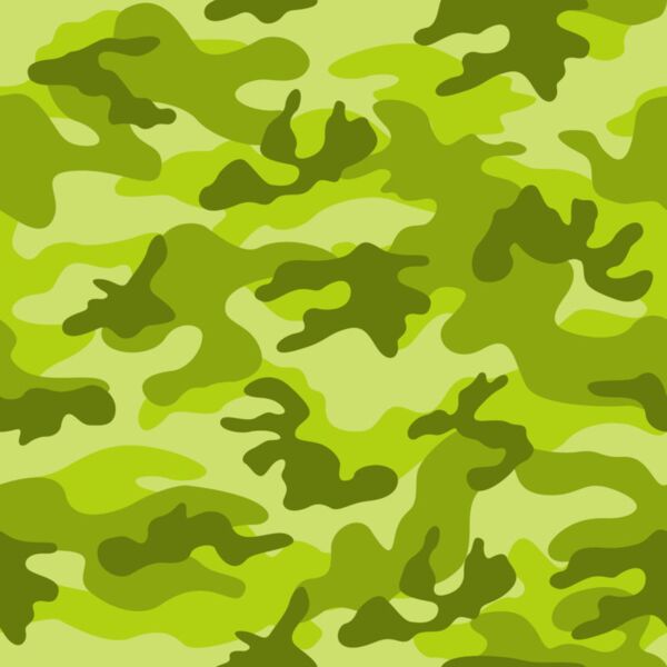 CAMOUFLAGE LimeGreen Thumbnail