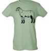 Ladies Slim Fit Poly-Rich Tee Thumbnail