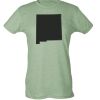 Ladies Slim Fit Poly-Rich Tee Thumbnail