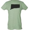 Ladies Slim Fit Poly-Rich Tee Thumbnail